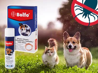 Štruktúra antiparazitného obojku