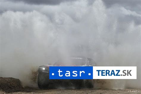 Pes pri tréningu privolania