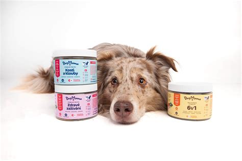 Obaly s výživovými doplnkami pre zdravie kože psov
