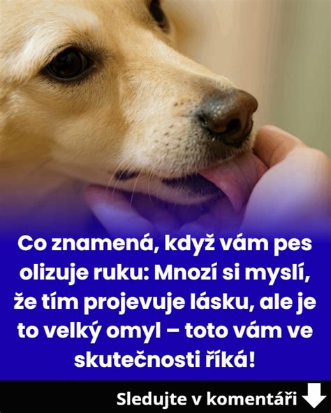 Pes si olizuje labku