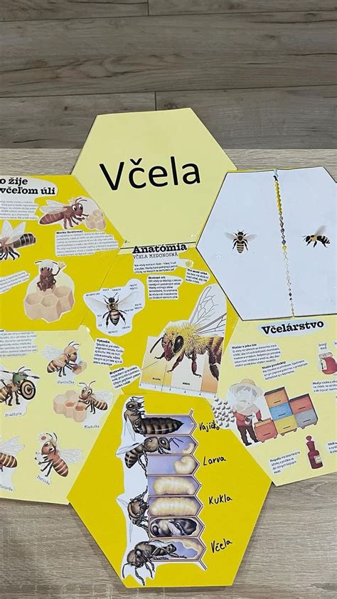 Včela a počítanie