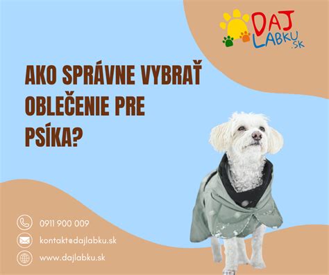 Infografika: Ako vybrať správne plemeno psa