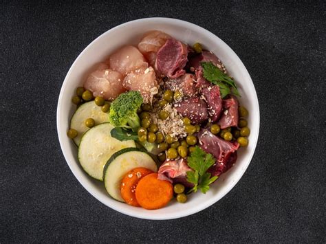 Ilustrácia BARF stravy pre psov