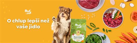 Ilustrácia porovnania psa na postroji a psovi na obojku