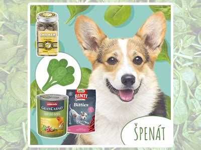 špenát pre psa