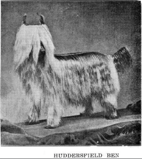 Pes Huddersfield Ben