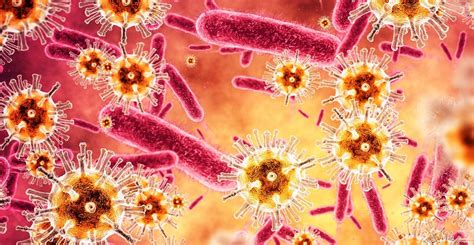 Rozdiel medzi vírusovou a bakteriálnou infekciou hrdla