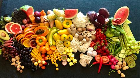 Anatomické znázornenie psa s vyznačením tráviaceho systému