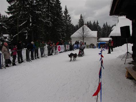 Slovenskí reprezentanti v psích záprahoch