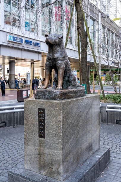 Socha psa Hačikó pred stanicou Shibuya v Tokiu