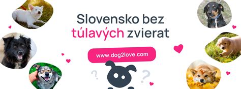 Ilustrácia psa po boku svojho majiteľa