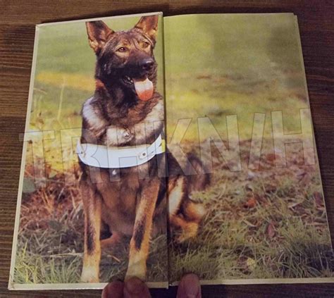 Kniha o nemeckom ovčiakovi