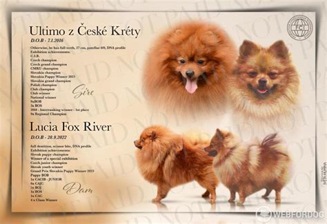 Špic na kovovú bránu