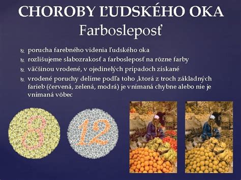 Porovnanie farebného spektra ľudského a psieho videnia