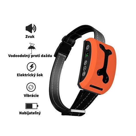 Infografika: Ako správne nasadiť a nastaviť elektronický obojok