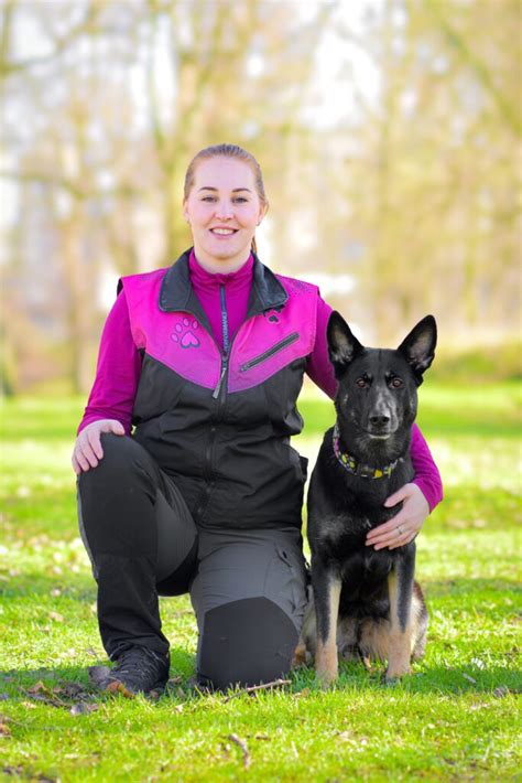 Infografika s porovnaním výcvikových metód pre psov.