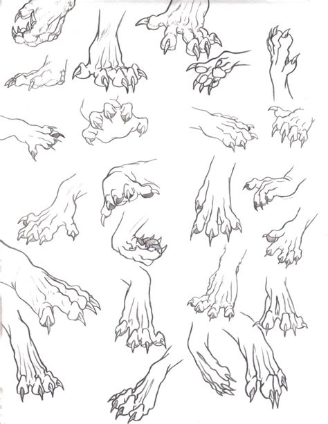 Ilustrácia psích labiek s pazúrikmi