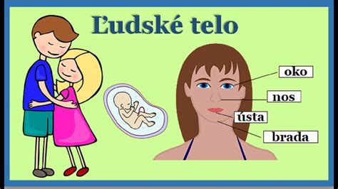 Ilustrácia Slovenského kopova s vyznačenými anatomickými časťami