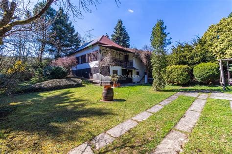 Pes odpočívajúci v tichom prostredí