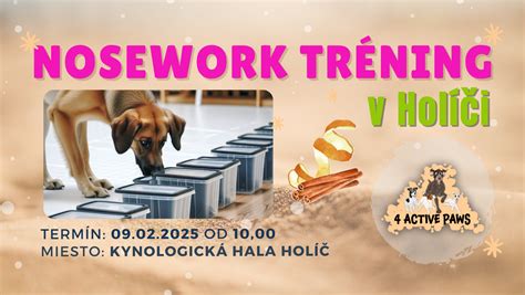 Pes pri nosework tréningu