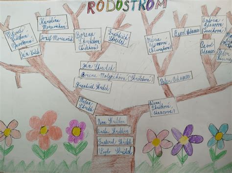 rodostrom psa