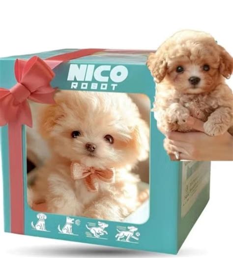 Interaktívny robotický pes Bailey s príslušenstvom