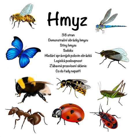 schéma pôsobenia dimetikónu na hmyz