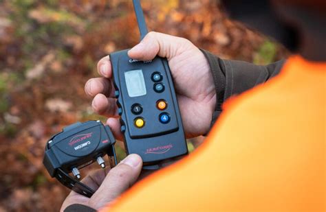 Ilustrácia psa s elektronickým obojkom