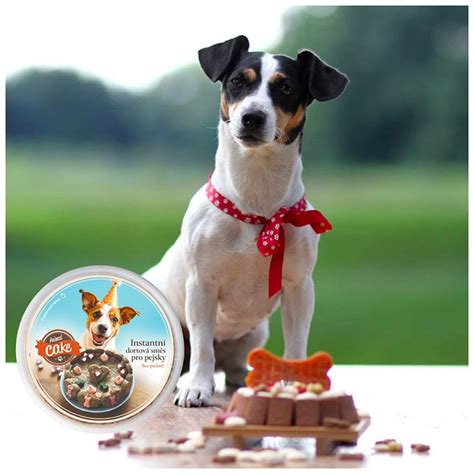 Zložky na psiu tortu