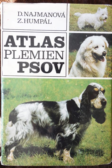 Ilustrácia rôznych plemien psov