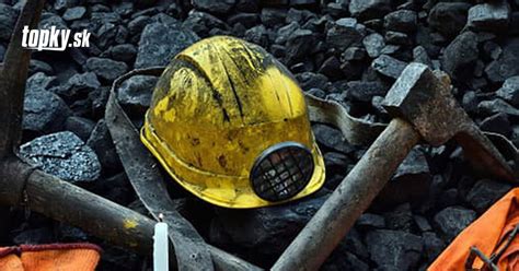 Ilustrácia psa pri práci počas poľovačky