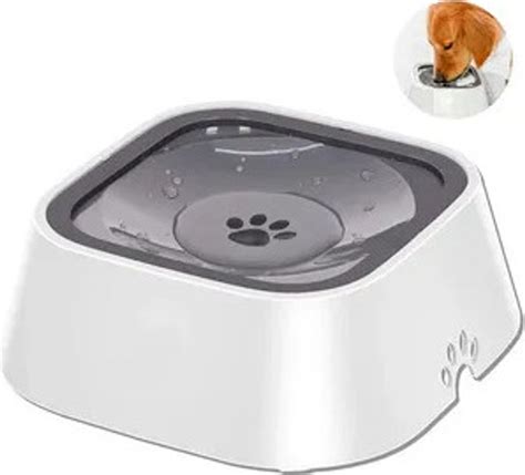 Pes pijúci vodu z misky na pikniku