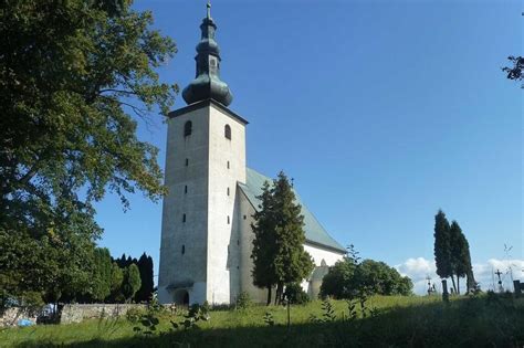 Bišónik v plnej kráse
