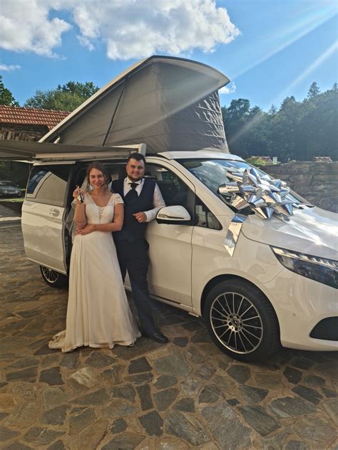 Ilustrácia verného psa po boku svojho pána