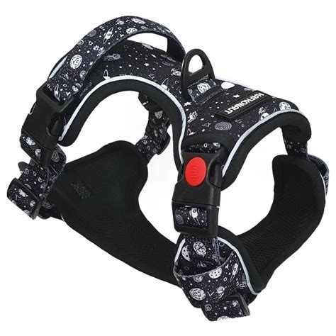 Ilustrácia bezpečných halloweenských dekorácií pre psov