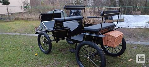 Historické vyobrazenie špicov sprevádzajúcich povoz