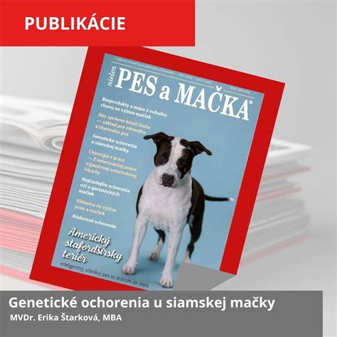 Ilustrácia psa s príznakmi obličkového ochorenia