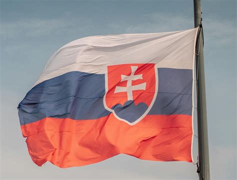 Symbolika chorého alebo zraneného psa