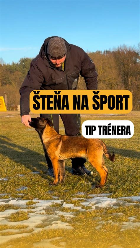 Šteňa psa v tréningu