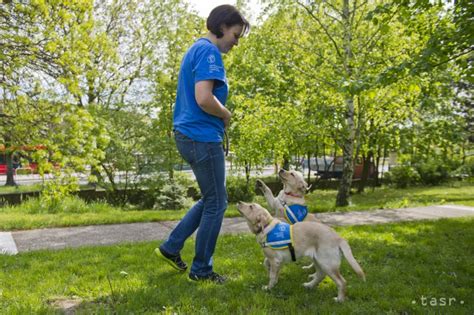 Asistenčný pes utešuje svoju majiteľku