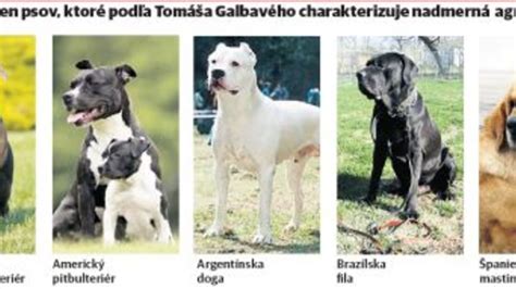 Majitelia psov zdieľajú skúsenosti