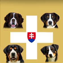 Štvorlístok švajčiarskych salašníckych psov