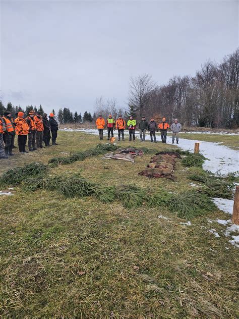 Detail hlavy slovenského kopova