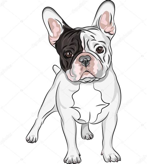 Kreslený buldog s veselým výrazom