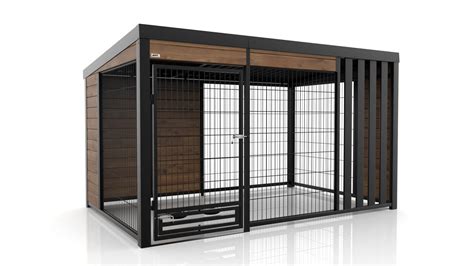 Pes v modernom koterec