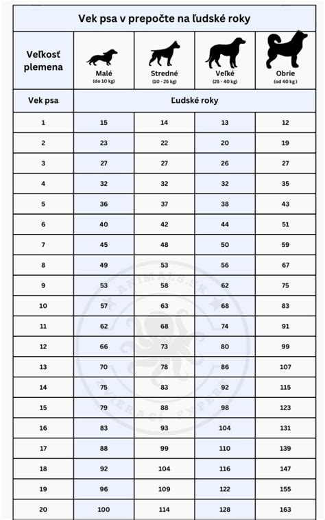 Majiteľ s jasnými pravidlami pre psa