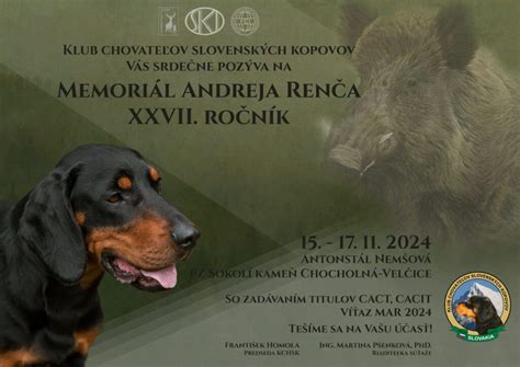 Štandardný vzhľad slovenského kopova