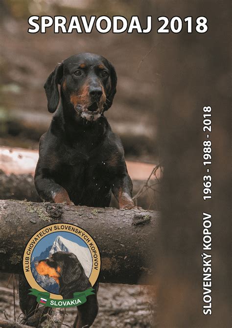 Poľovné skúšky slovenského kopova