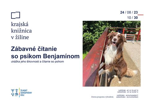 Ilustrácia výcviku psa so psíkom labradora