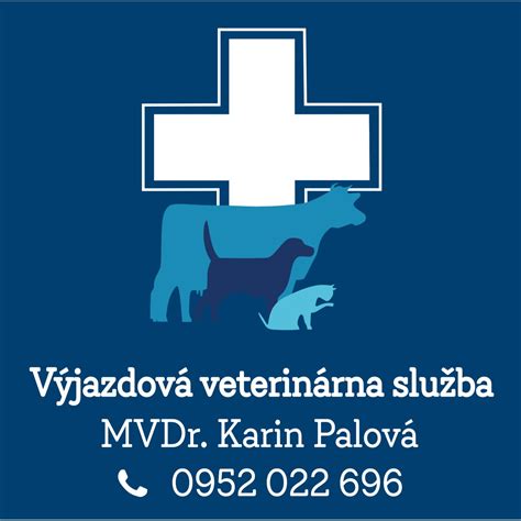Veterinár podávajúci infúziu psovi